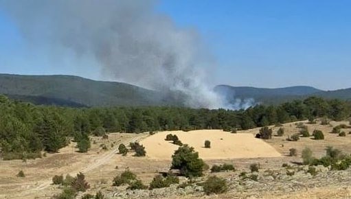 Eskişehir'de orman yangını