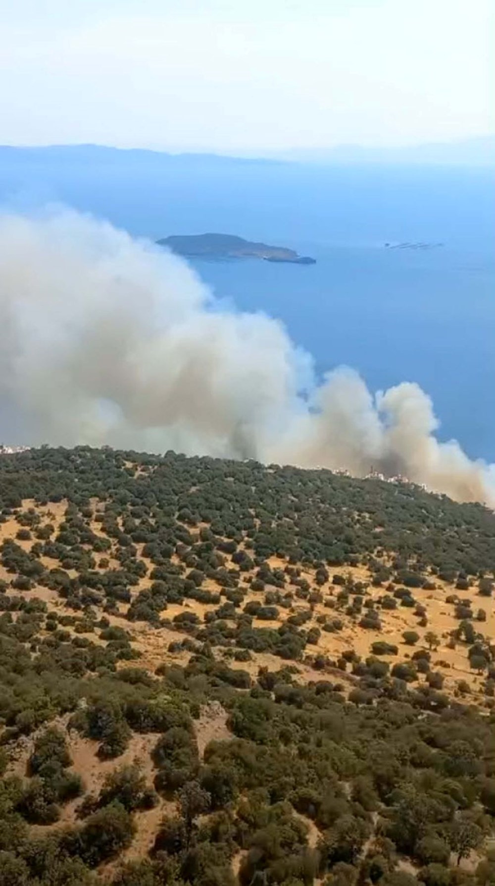 İzmir'de orman yangını: Bir site tahliye edildi - 7