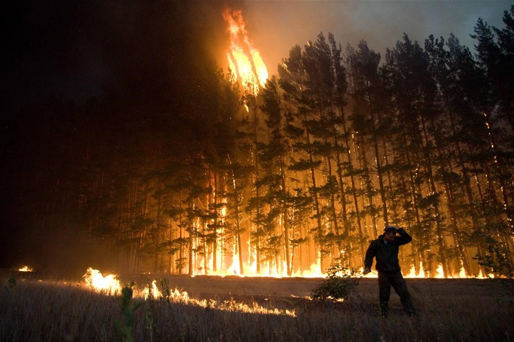 Начинающийся лесной пожар. Пожары 2010 года в России. Лесные пожары 2010 года в Рязанской области. Пожары в России 2010 лето. Пожары в России летом 2010 года.