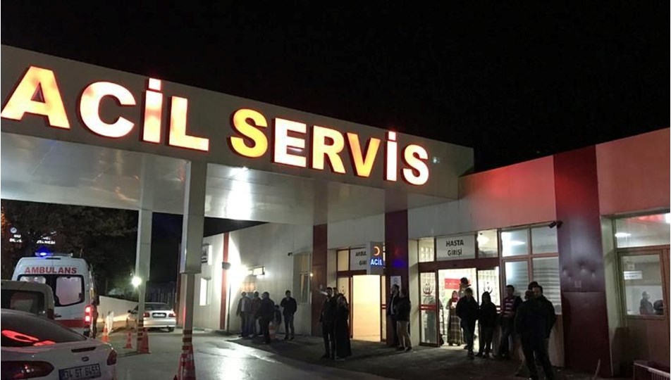 Sağlık Bakanlığı'ndan sahipsiz köpek adımı