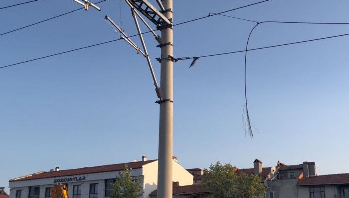 Kablolara konan kargalar yangına neden oldu