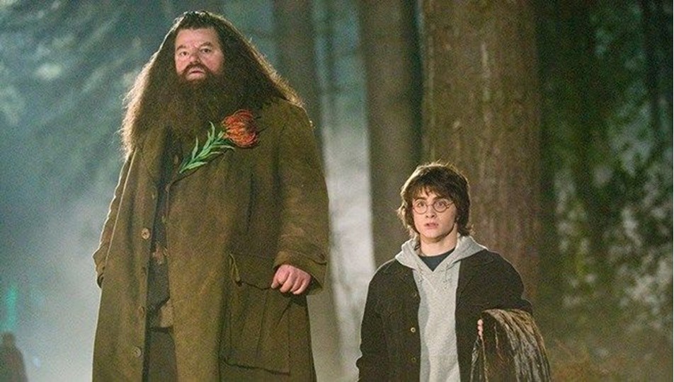 Harry Potter dizisinin "Hagrid"i belli oldu