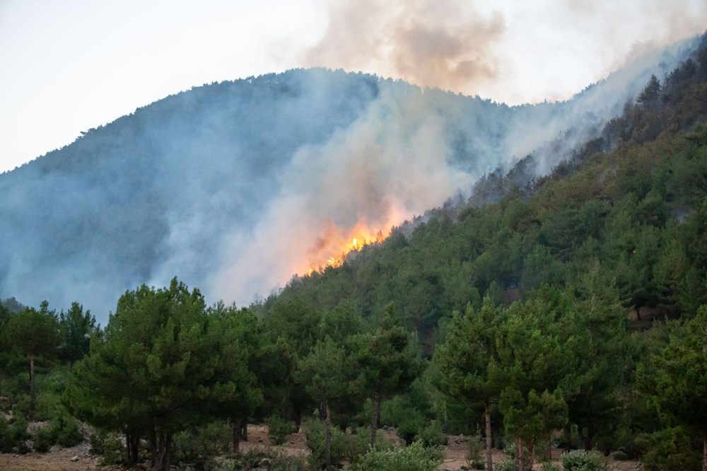 Hatay ve Mersin'de orman yangını - 13