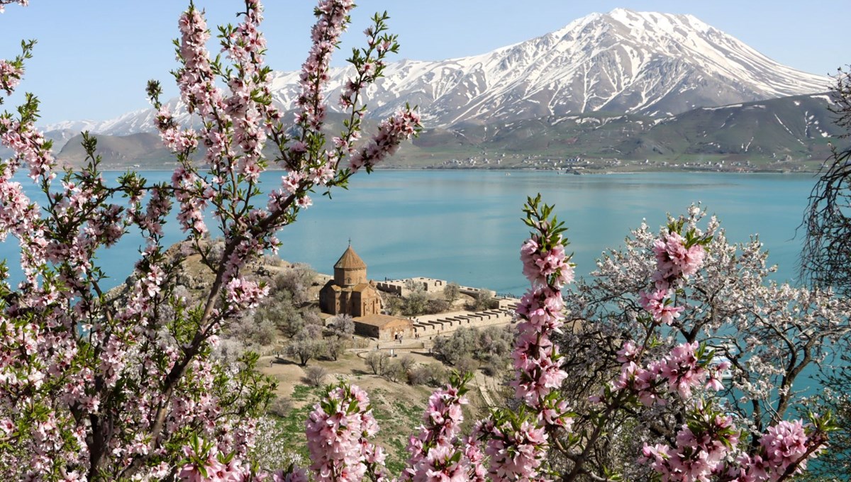 Akdamar Adası badem ağaçlarının çiçekleriyle renklendi