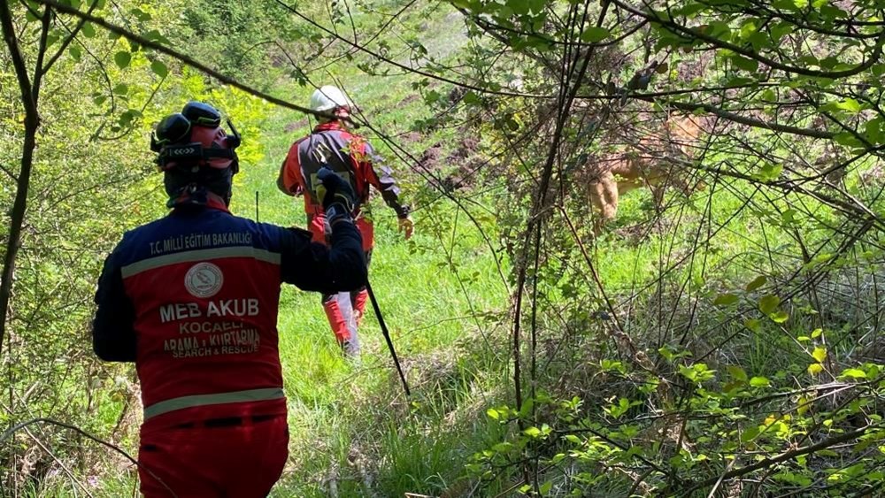 45 gün oldu: Kocaeli'de kaybolan Emirhan için havadan ve karadan arama 75