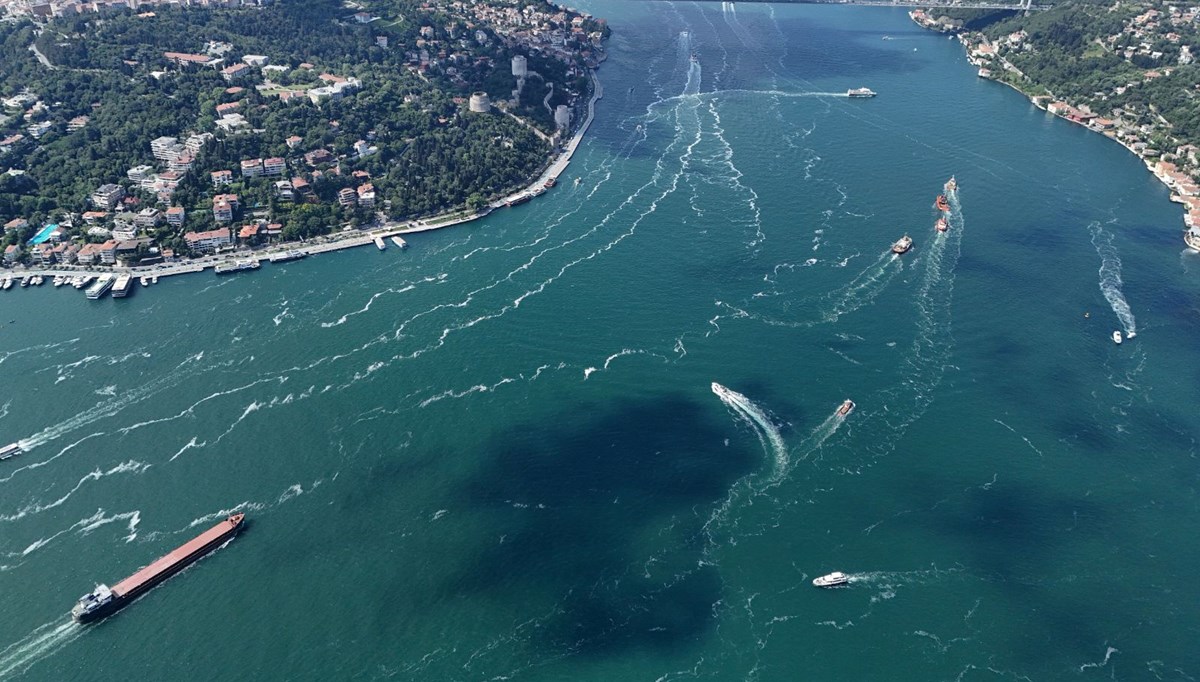 İstanbul'da müsilaj kabusu geri mi döndü? İstanbul'da müsilaj kabusu geri mi döndü?