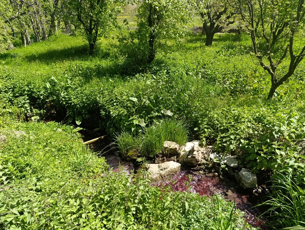 HuOfMRMLeEKulPXSGPO0yA