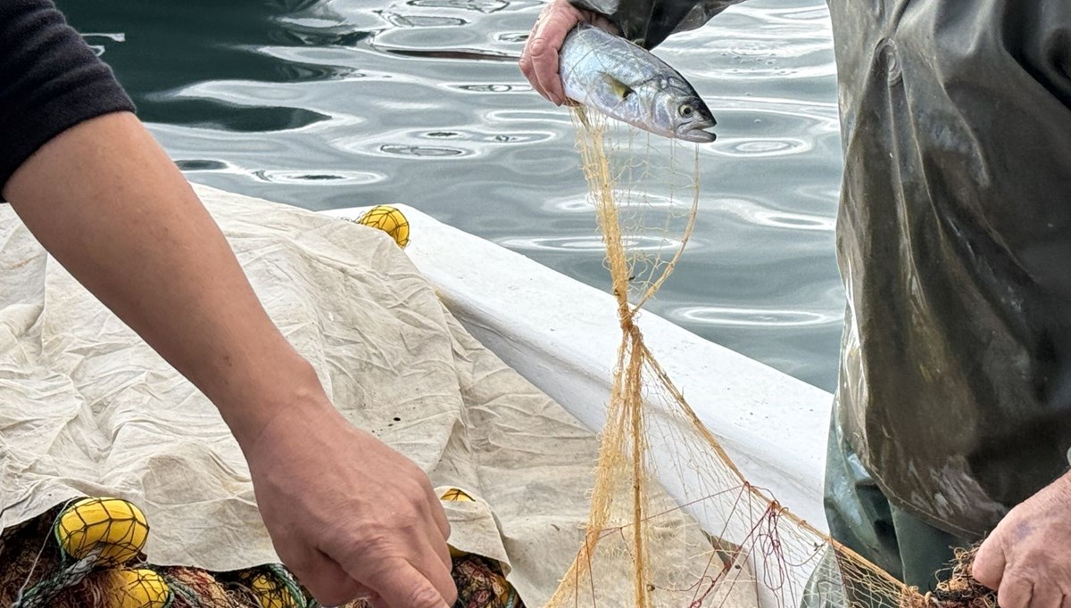 Tekirdağ'da lüfer bereketi