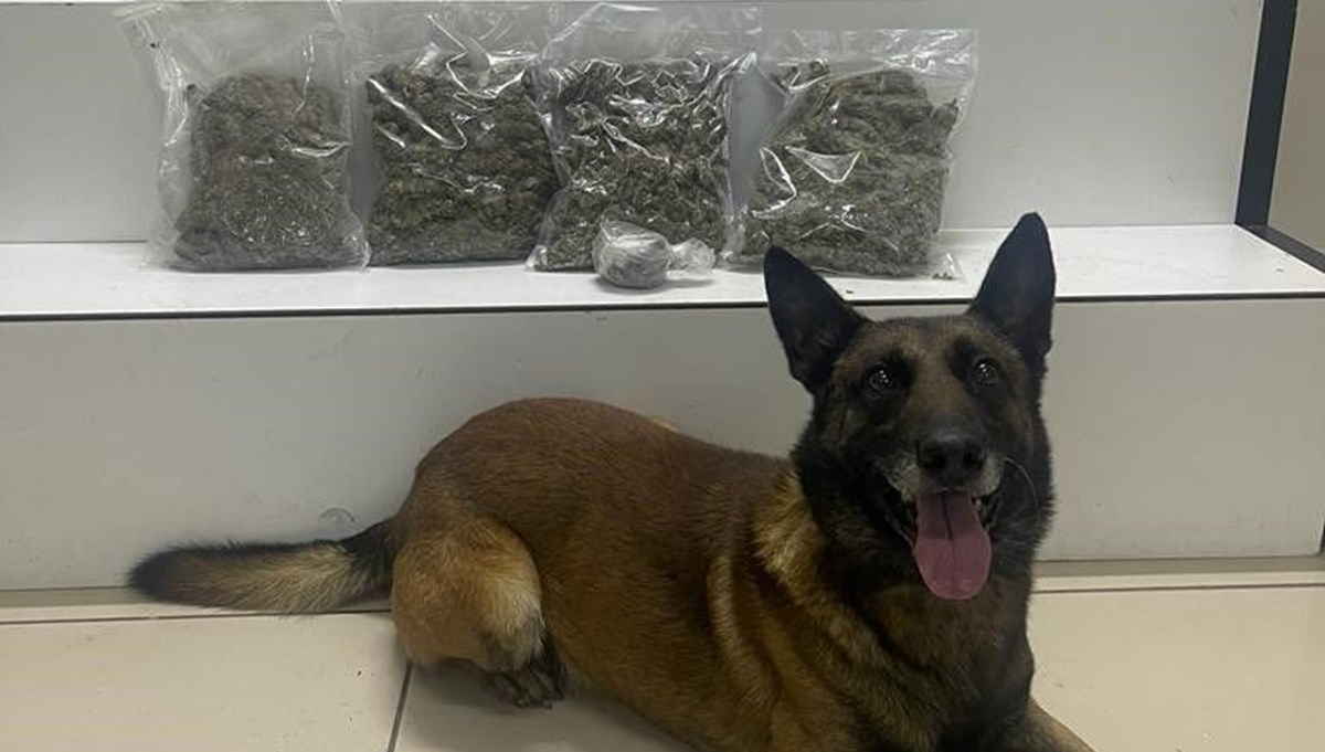 Edremit’te 2 kilo 118 gram uyuşturucu ele geçirildi Edremit’te 2 kilo 118 gram uyuşturucu ele geçirildi