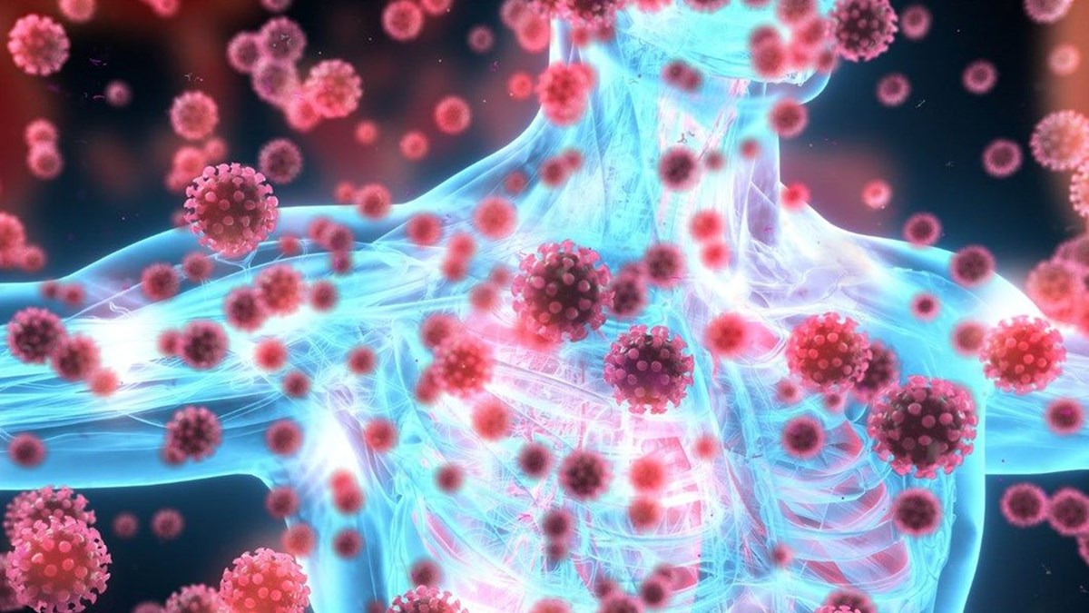 Otoimmün hastalıklar Pfizer/BioNTech ve Moderna aşılarının etkisinde düşüşe  neden oldu - Sağlık Haberleri | NTV
