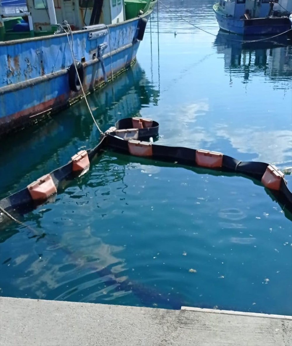 İstanbul Üniversitesi, müsilajı deniz bakterisiyle temizlemeyi başardı - 5