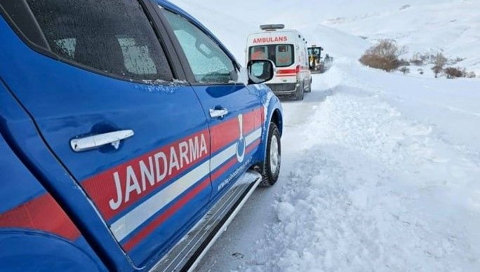 Hayvanından tekme yedi, jandarma imdadına yetişti