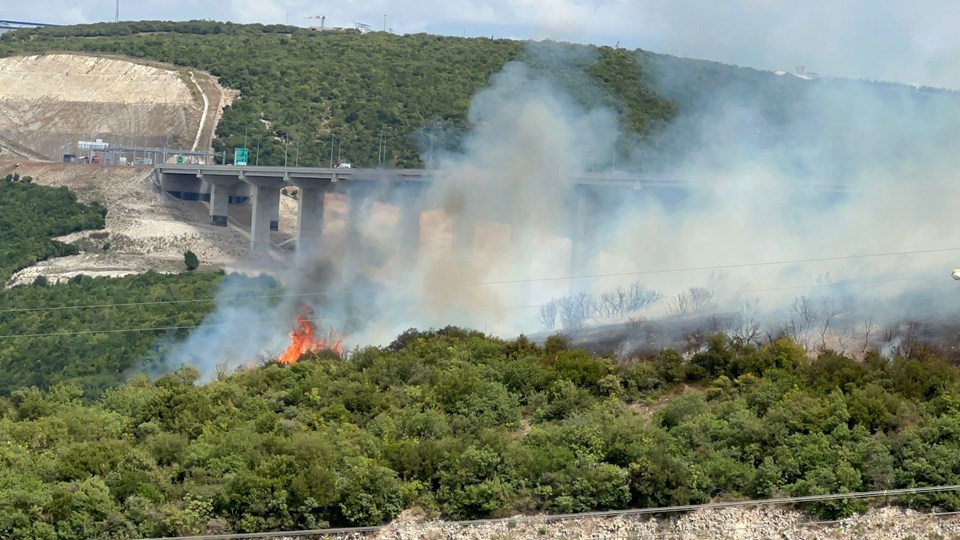 Kocaeli'de orman yangını - 1