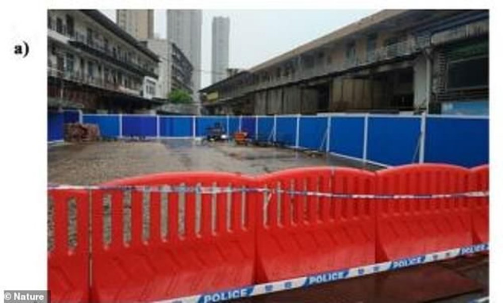 Research unpublished for 1 year: Animals known to carry Covid-19 in Wuhan have been sold for years - 4