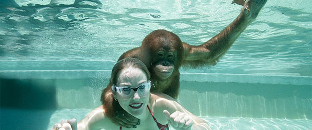 купание обезьяны группа состав