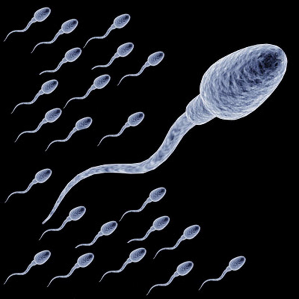 Sperm sayısı 120 milyondan 15 milyona düştü - 2