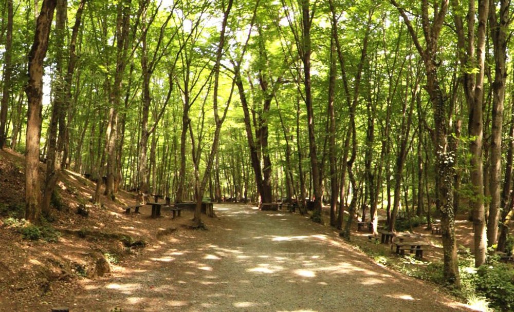 İstanbul'un Tabiat Parkları (İstanbul'daki tabiat parklarının listesi ve isimleri) - 16