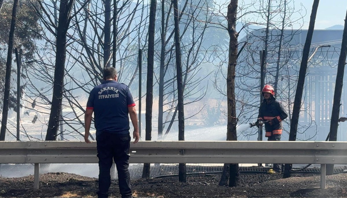 Sakarya'da ağaçlık alanda yangın