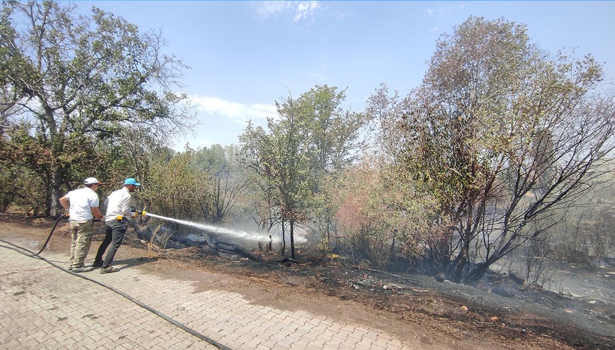 Atıklar 6 dekarı kül etti