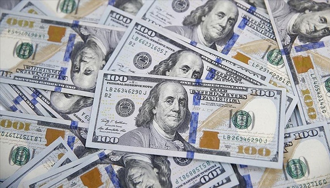 Merkez Bankası'nın rezervlerinde rekor