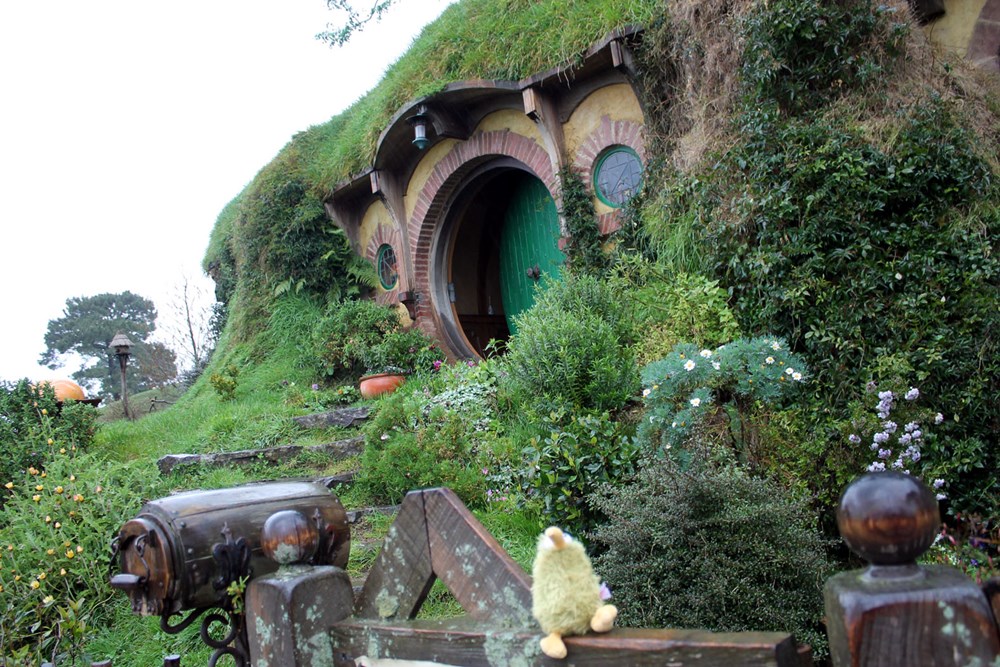 Yeni Zelanda'daki "Hobbit köyü" büyük ilgi görüyor | NTV