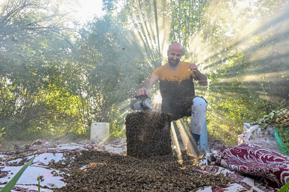 "Arı Adam"ın Guinness Rekorlar Kitabı hayaline ramak kaldı - 4
