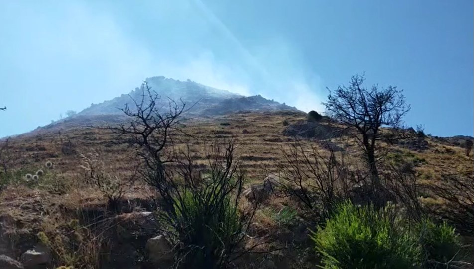 Bodrum’da 3 hektar alan kül oldu