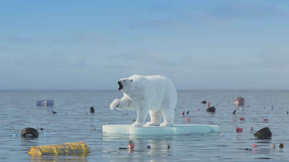 Arktik Deniz Buzu son 40 yılda yüzde 50 oranında eridi: Bilim insanları yok olacağı tarihi hesapladı - 6