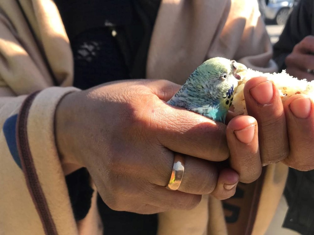 Küçük Berat, 55 saat sonra enkazdan elinde tuttuğu muhabbet kuşuyla çıkarıldı - 2