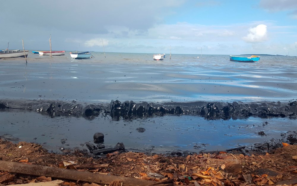 Mauritus'daki petrol sızıntısı sahilleri bu hale getirdi - 23