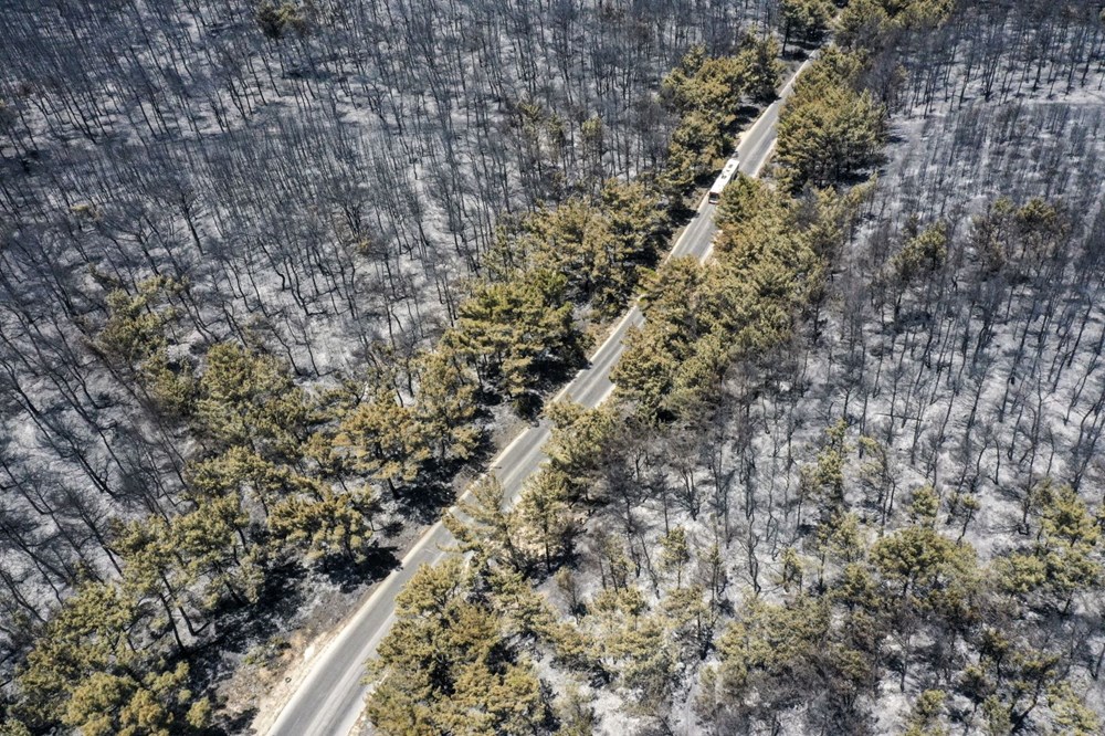 Buca'nın iki katı alan yandı - 3