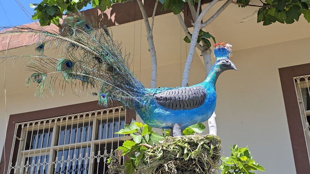 64 yaşındaki emekli öğretmen atıl malzemeleri dönüştürüyor: Bahçesini açık hava müzesine dönüştürdü 75 IEozzPPHPU