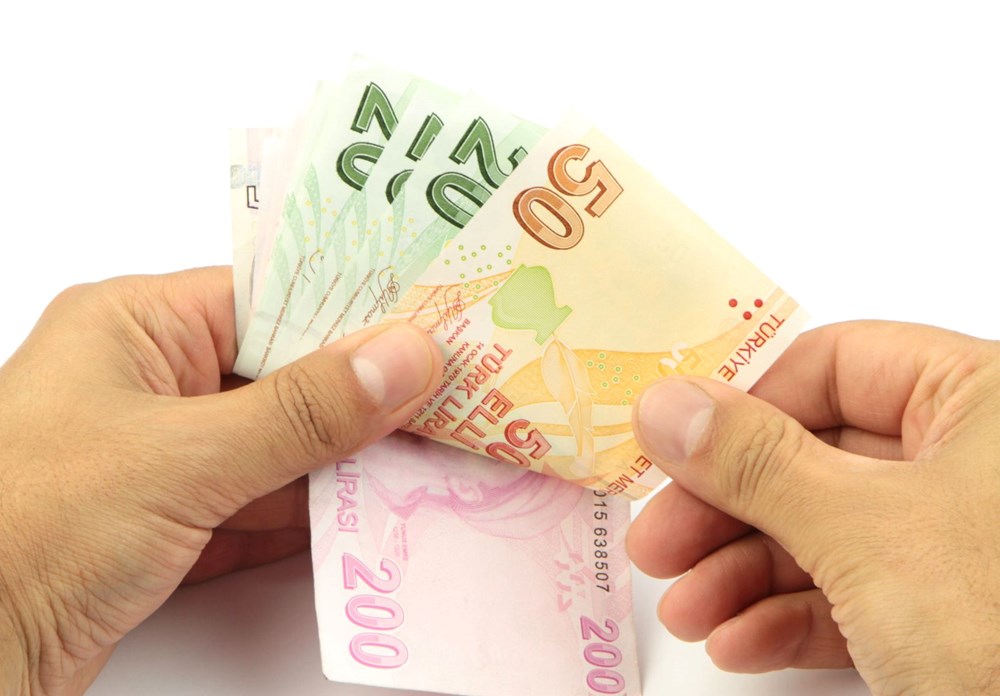 GES'te talep toplama bugün başlıyor: 10 soruda gelire endeksli devlet iç borçlanma senedi - 9