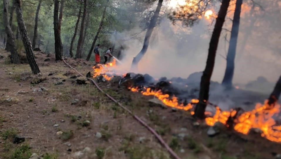 Hatay'da örtü yangını