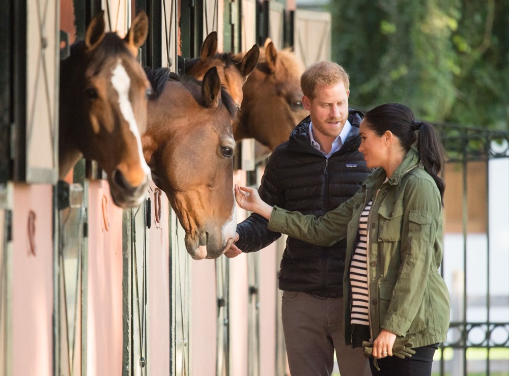 Prens Harry ve Meghan Markle'dan sıfır karbon sözü - 3