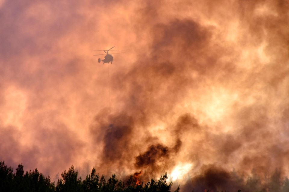 Milas'taki orman yangınında 'sabotaj' şüphesi - 1