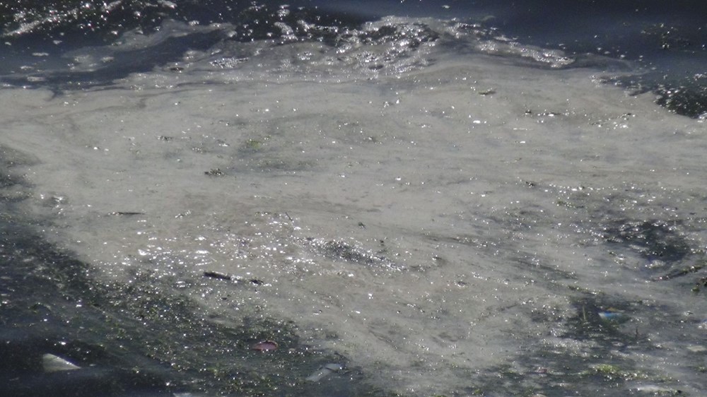 Marmara'da müsilaj şüphesi: Numuneler TÜBİTAK'a gönderildi - 5