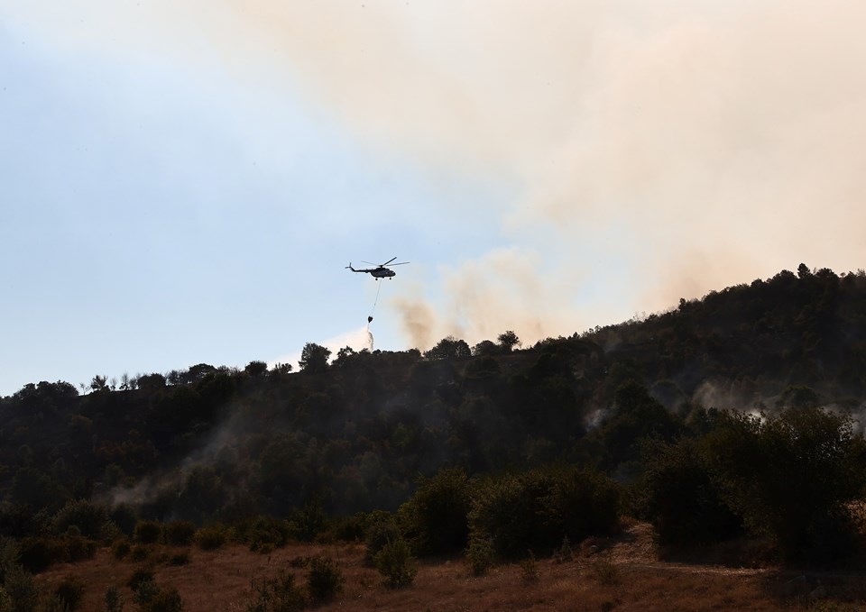 Ankara Çubuk'ta orman yangını - 1