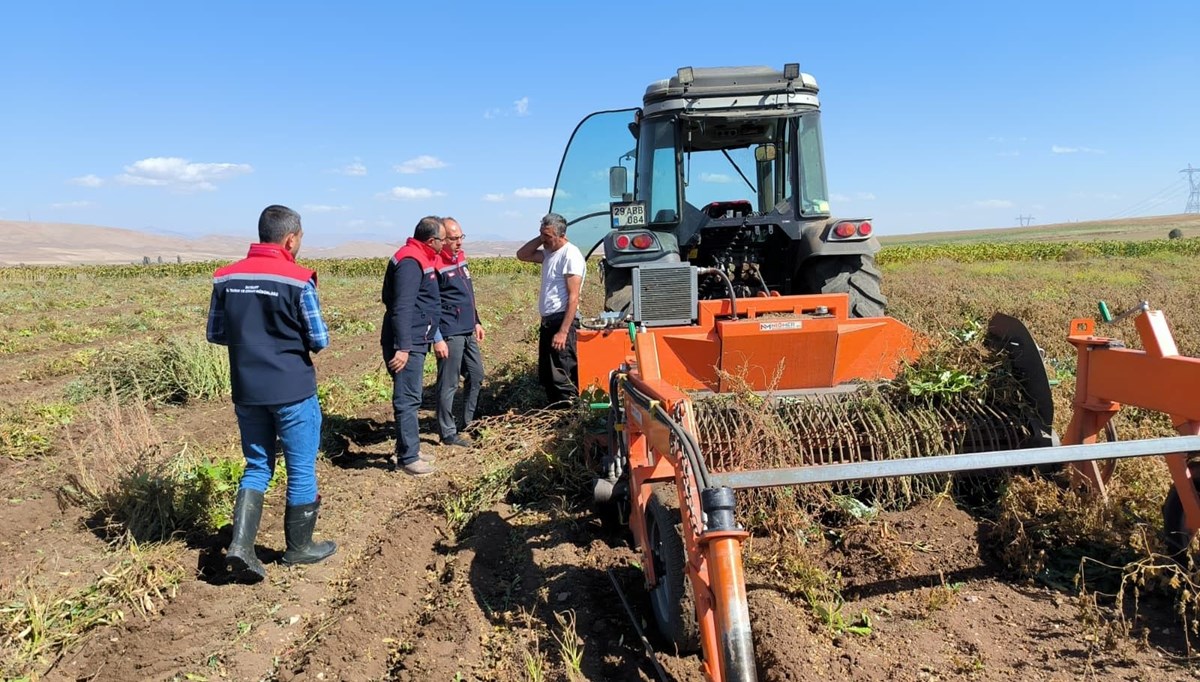 Üretimi 3 bin dekara ulaştı: Aranan ürünler arasında yer alıyor