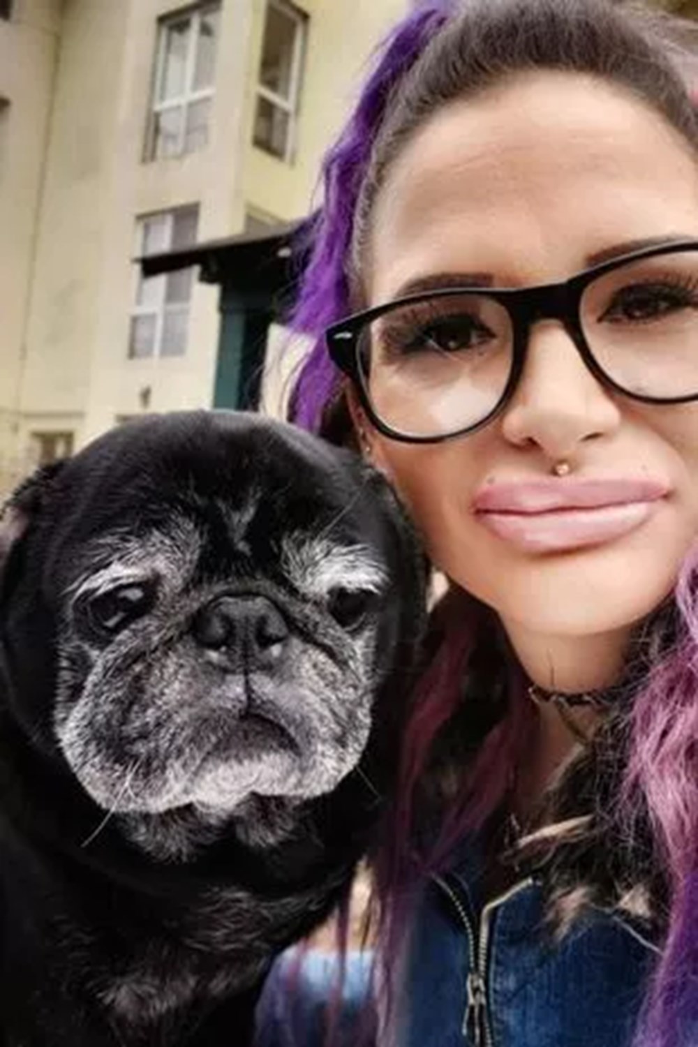 5 gündür haber alınamayan kadını, pug cinsi köpekleri yedi - 4