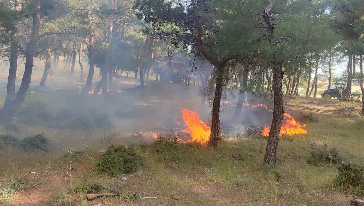 Çanakkale ve Mersin'de orman yangını