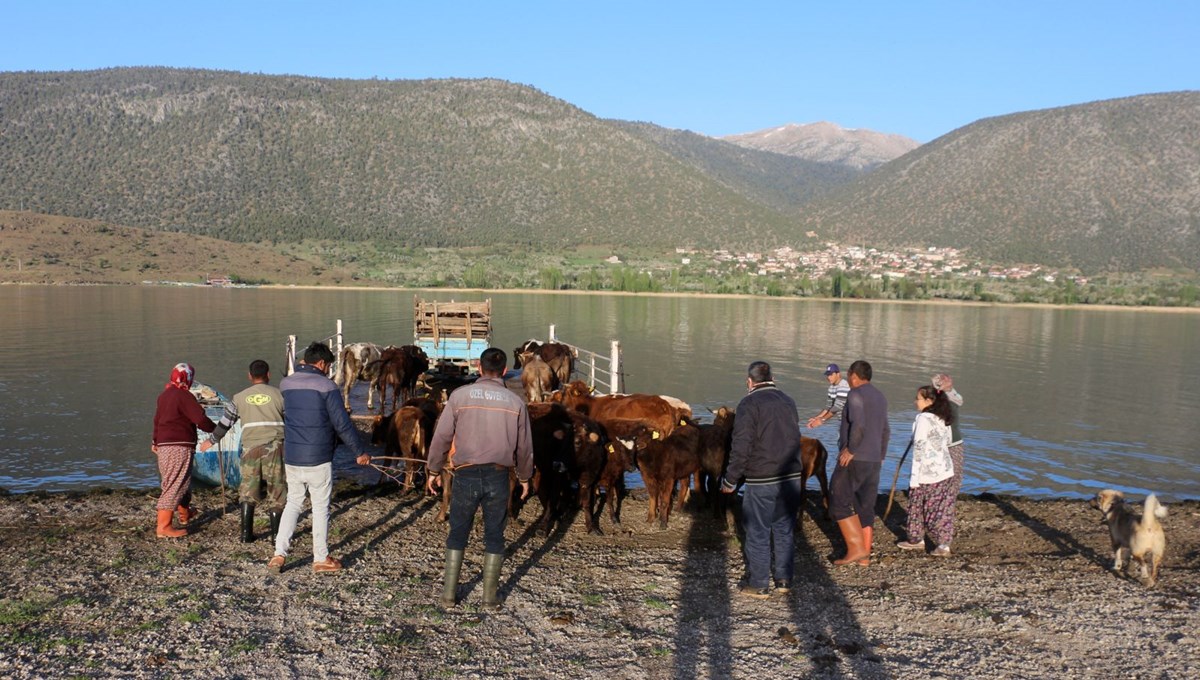 Mada Adası'na corona virüs uğramadı