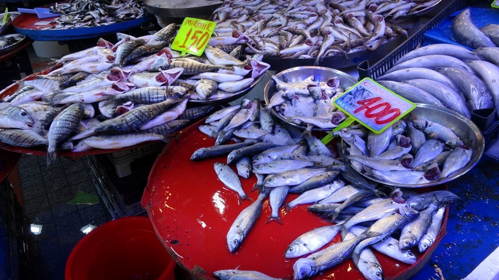 Deniz Suyu Isınıyor, Çeşitlilik Sofrada: Balık Tezgâhlarında Paradoks 72