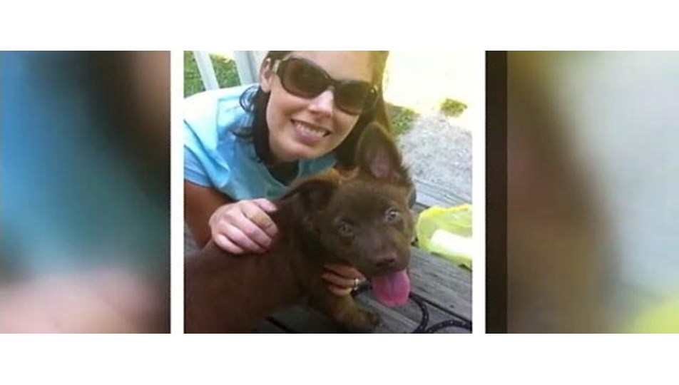 Köpek bakterisi iki eline ve ayaklarına mal oldu