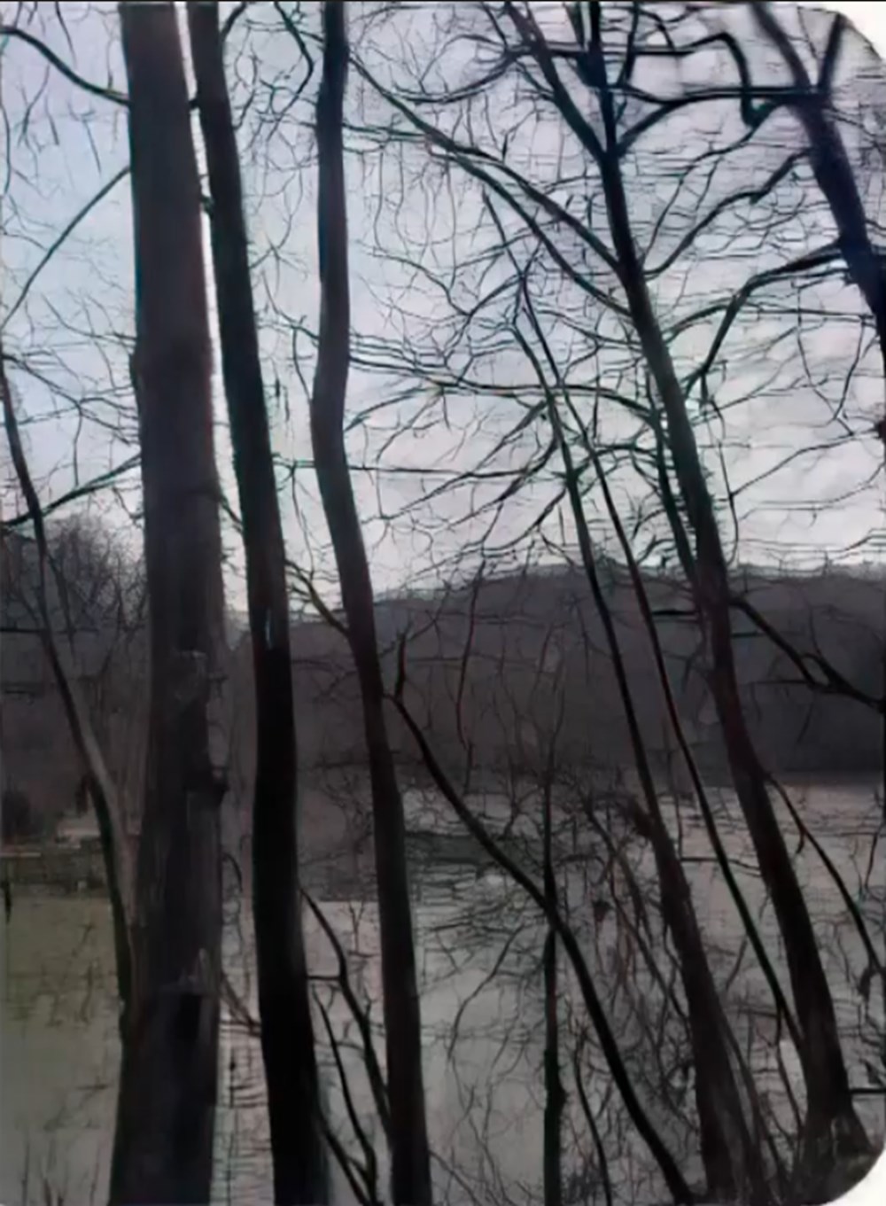 İstanbul'da kaybolan peyzaj mimarı Ece Gürel, Belgrad Ormanı'nda aranıyor - 4