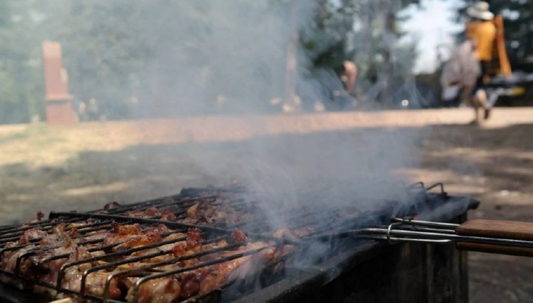 Ankara'da mangal yasağı