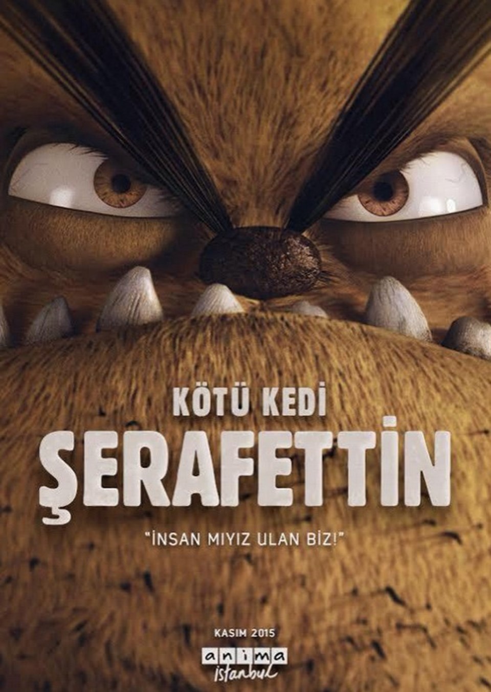 Kötü Kedi Şerafettin uluslararası arenada - 1