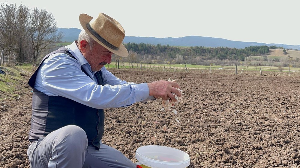 77'lik Delikanlı, Taşköprü Sarımsağıyla Hayata Tutunuyor 72