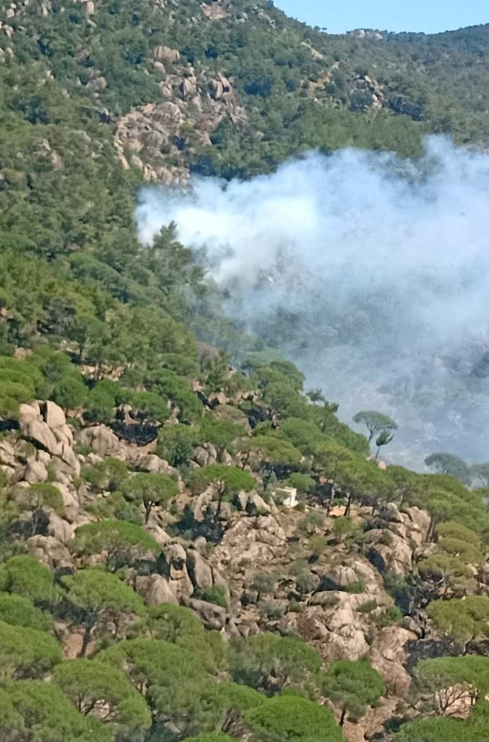 Manisa'da orman yangını - 1