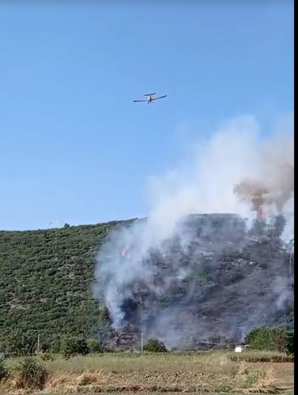 Antalya, Muğla ve Gaziantep'te orman yangını - 2
